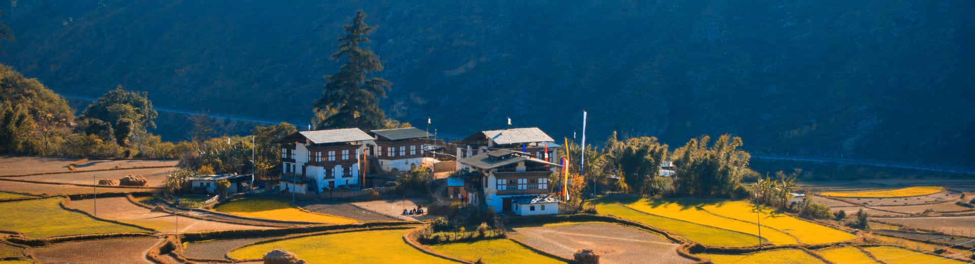 The National Plan For Infrastructure Resilience In Bhutan Banner –