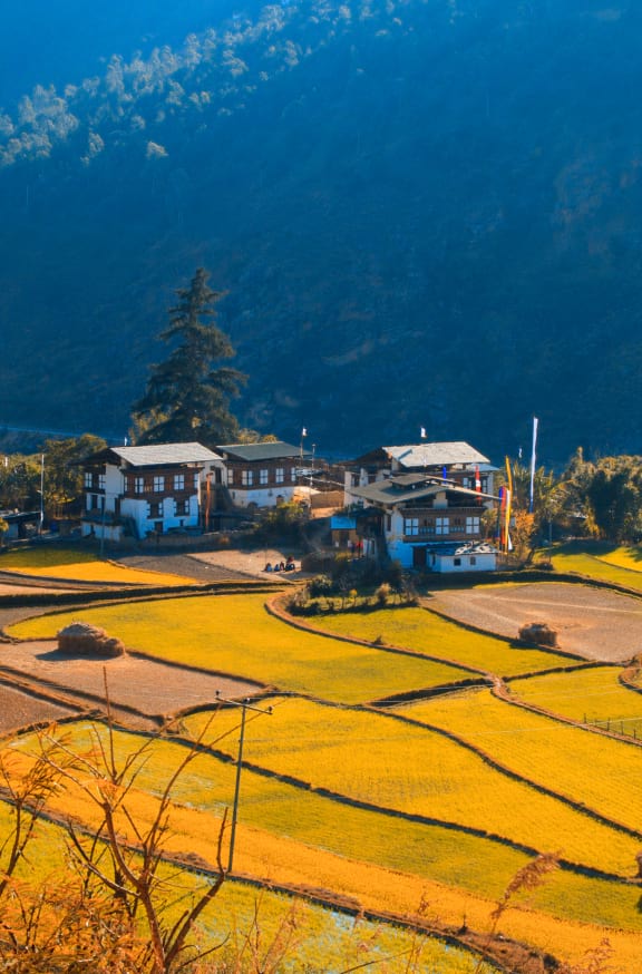 The National Plan For Infrastructure Resilience In Bhutan Mobile Banner –