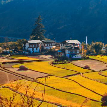 The National Plan For Infrastructure Resilience In Bhutan Project –