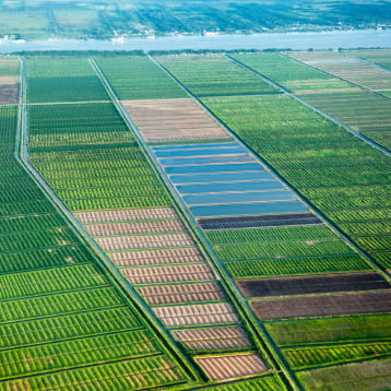 Towards Developing Strategic Sustainable Guyana Project –