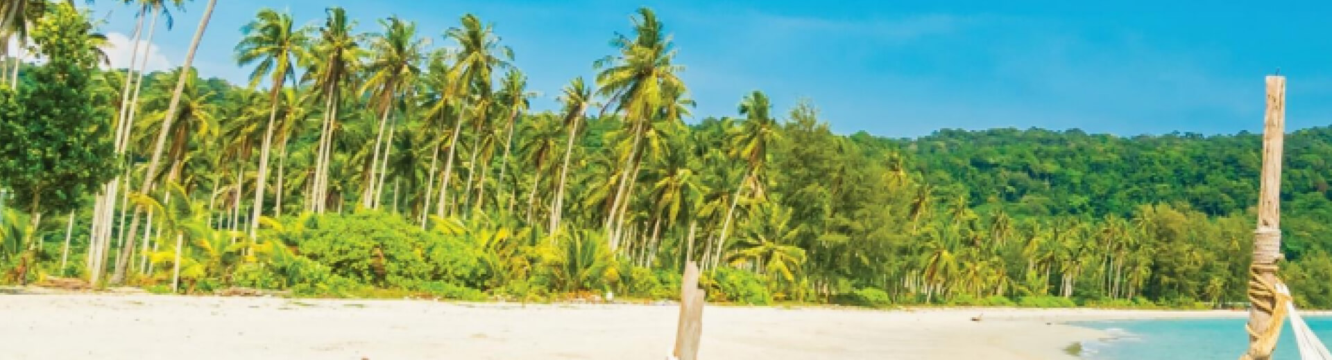 Towards Resilient Public Finance in Fiji