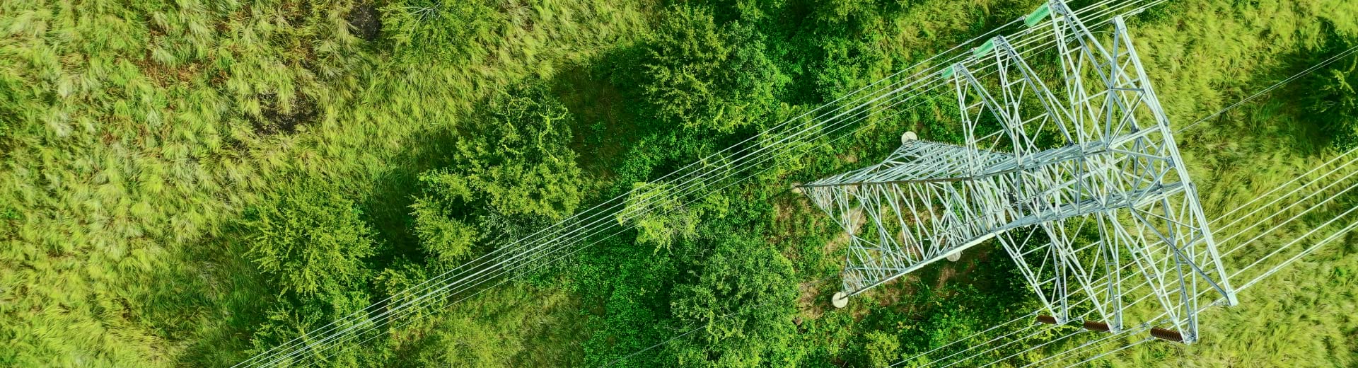 What We Do Banner –