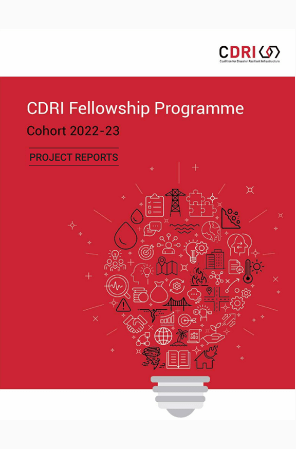 Fellowship Programme: Projects Synthesis Report 2022-23