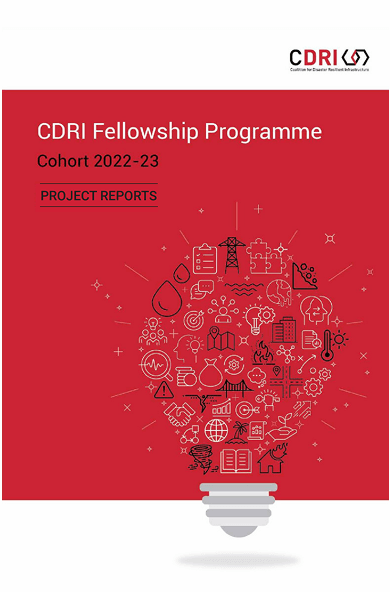 Fellowship Programme: Projects Synthesis Report 2022-23