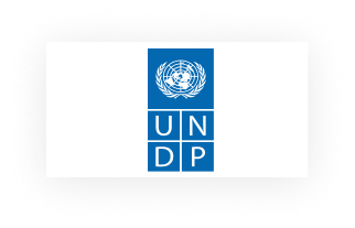 undp logo